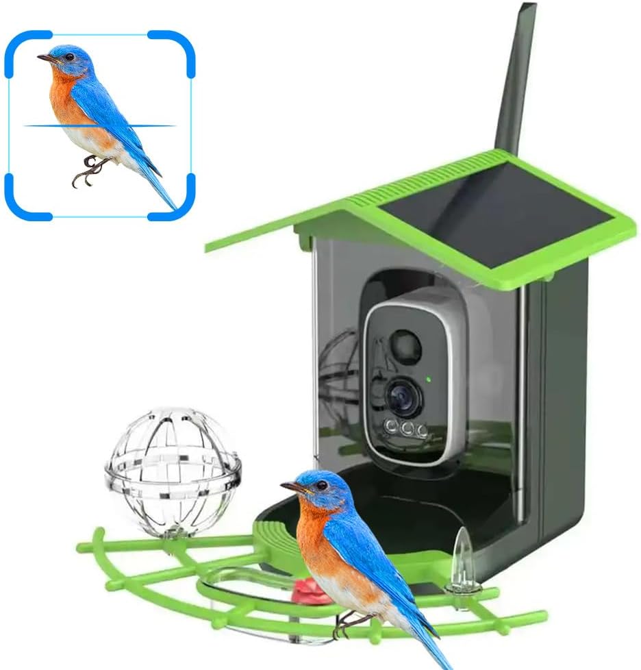 Real Time Bird watching WIFI A - đánh giá và giá A1 Watches & Jewelry New York Photos