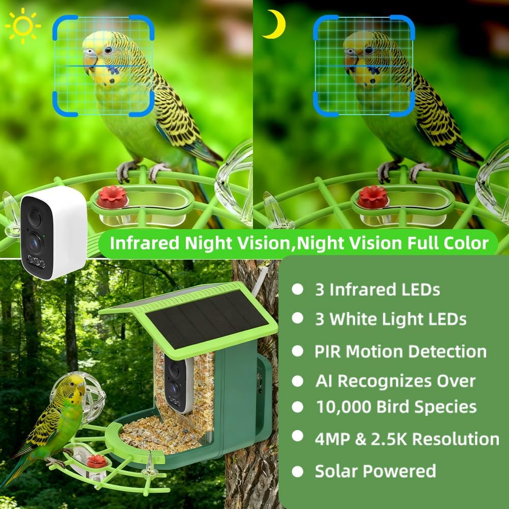 Real Time Bird watching WIFI A - đánh giá và giá A1 Watches & Jewelry New York Photos
