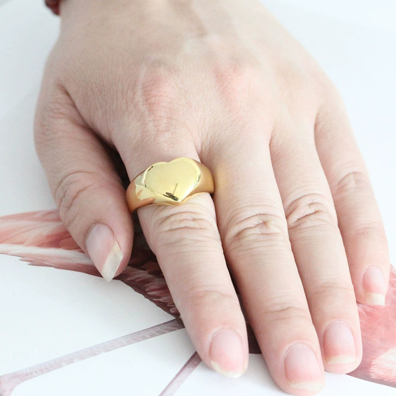 365 Stainless Steel Punk Rock  - đánh giá và giá Mens Signet Ring
