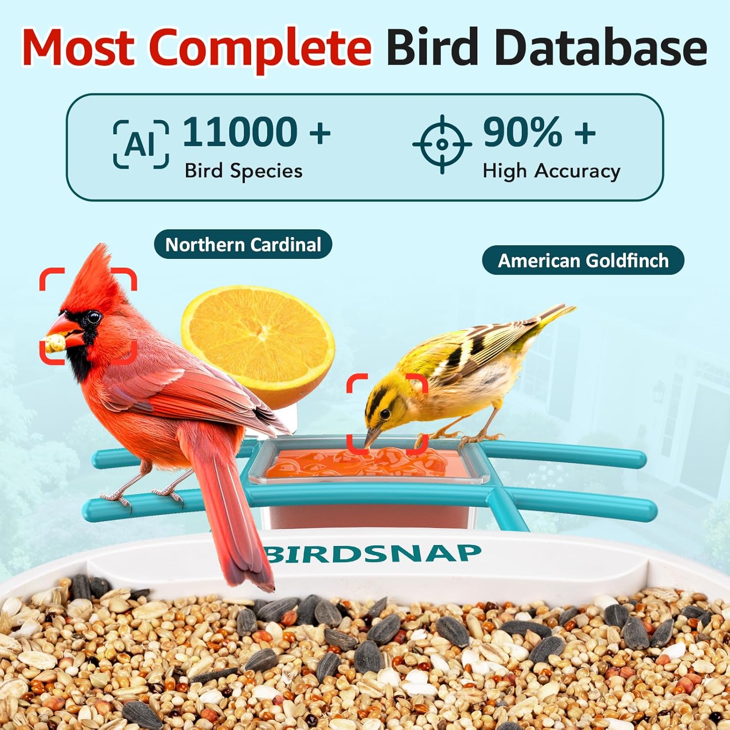 2K HD Bird Feeder Camera with  - đánh giá và giá Watches & Jewelry Repair Center New York