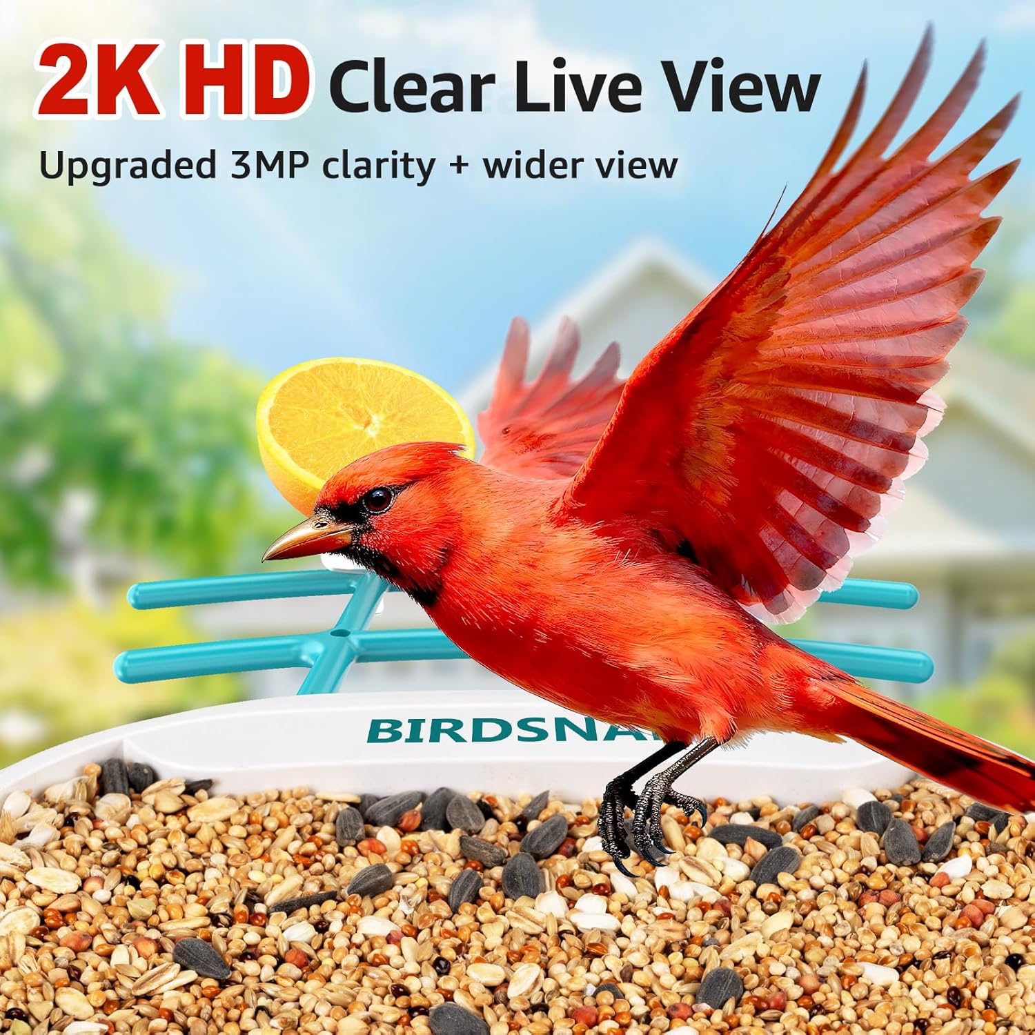 2K HD Bird Feeder Camera with  - đánh giá và giá Watches & Jewelry Repair Center New York